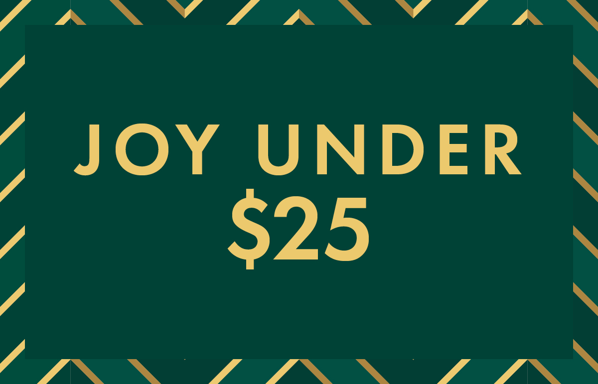 Christmas gift ideas under $25